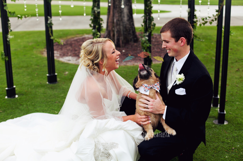 Wedding Dogs 