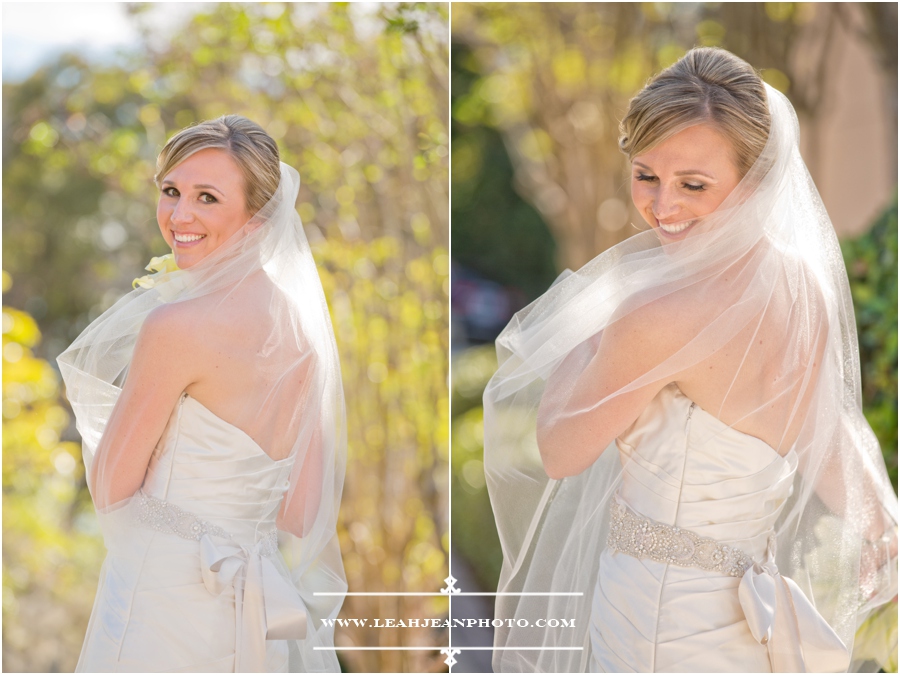 Bridal Portraits 