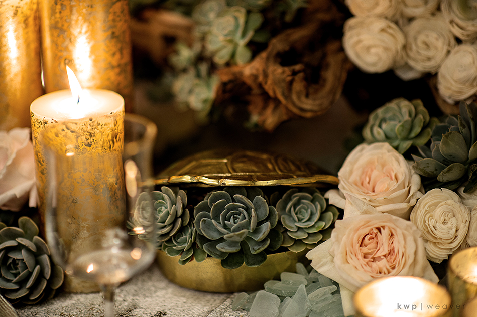 succulents and garden roses 